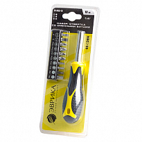 Набор бит ER-M03-10 1/4" SL0.8х4, SL1x5; PH1,PH2; TORX T15, T20; HEX H4, H5; PZ1,PZ2